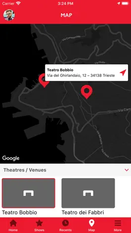 Game screenshot Teatro La Contrada hack