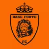 Base Forte FC problems & troubleshooting and solutions