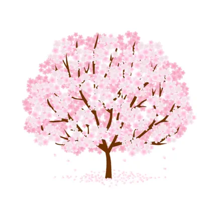 Sakura - 四字熟語Quiz Cheats