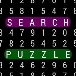 Search Puzzle