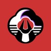 HUAALL-Chinese style icon