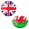 English to Welsh Translator icon