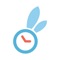 Icon Busy Bunny Manager