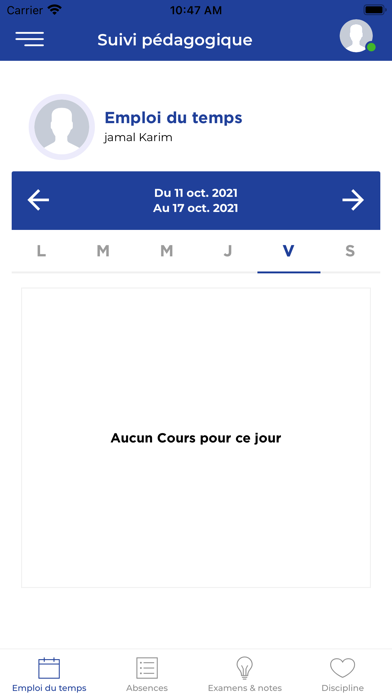 Institut Majorelle Screenshot