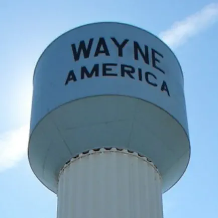 Wayne Radio Читы