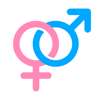 Gender Reveal Wheel - Stefano Tasinato