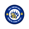 Spring Hill Bears AR icon
