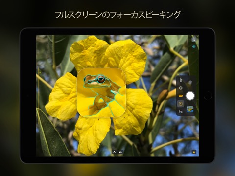 Camera M - プロマニュアルカメラのおすすめ画像4