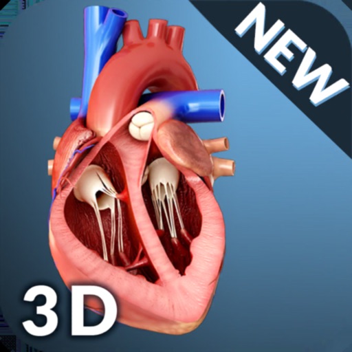 My Heart Anatomy icon