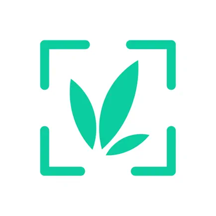 Wow Plant Identifier - AI Care Cheats