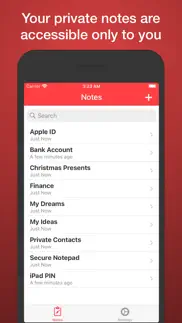 secure notepad iphone screenshot 2