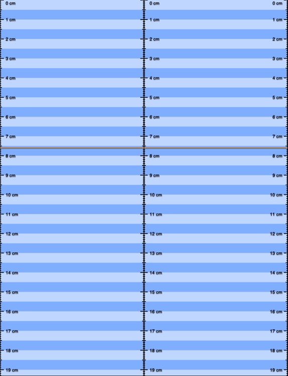 Ruler App XL