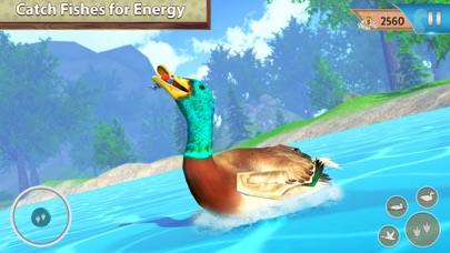 Flying duck family simulator Screenshot