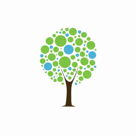 Dallas First Assembly Cheats