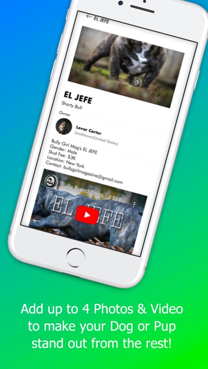 BULLY GIRL screenshot-4