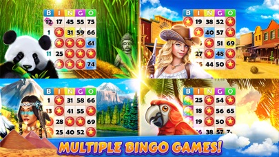 Bingo Cruise™ Live Casino Game Screenshot