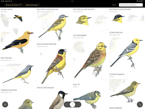 Collins Bird Guide iPad app afbeelding 5