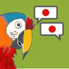 Speak Japanese Like Parrot icon