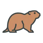 Groundhog Stickers App Contact