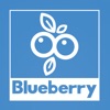Blueberry Novel icon