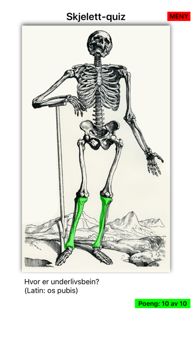 Anatomi Screenshot