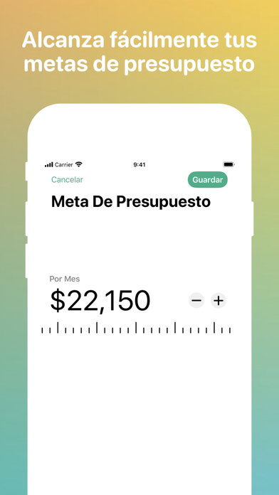 Fin - Presupuesto y gastos screenshot 3