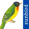 All Birds Venezuela - guide contact information