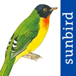 Download All Birds Venezuela - guide app