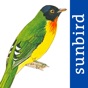 All Birds Venezuela - guide app download