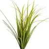 Montana Grasses Positive Reviews, comments