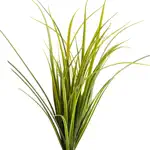 Montana Grasses App Alternatives