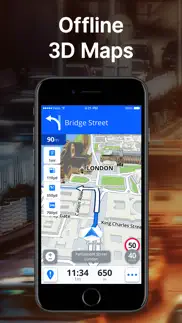 sygic gps navigation & maps iphone screenshot 2