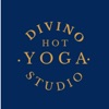 Divino Hot Yoga icon