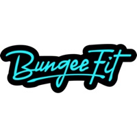Bungee Fit Studio logo