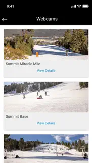 big bear mountain resort problems & solutions and troubleshooting guide - 4