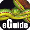 Snakes eGuide - iPadアプリ