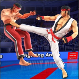 Karate Kings Fight 23 icône
