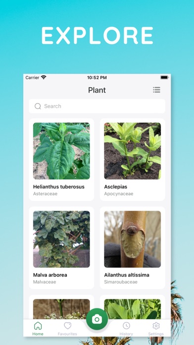 The Plant Identification App Screenshot