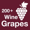 200+ Wine Grapes icon