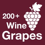 Download 200+ Wine Grapes app