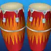 Congas! contact information