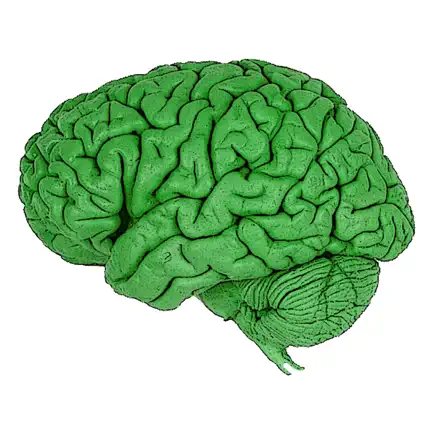 Optimistic Brain Cheats