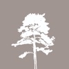 InnerCriticFreedom icon