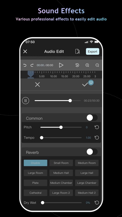 Audio Editor : Audiolab