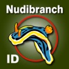 Nudibranch ID Australia NZ - iPhoneアプリ