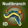 Nudibranch ID Australia NZ contact information