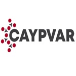 Download Caypvar app
