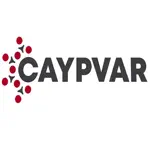Caypvar App Contact