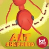 Ant Shepherd