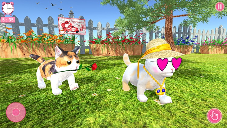 Cat Simulator 2024:Pet Games